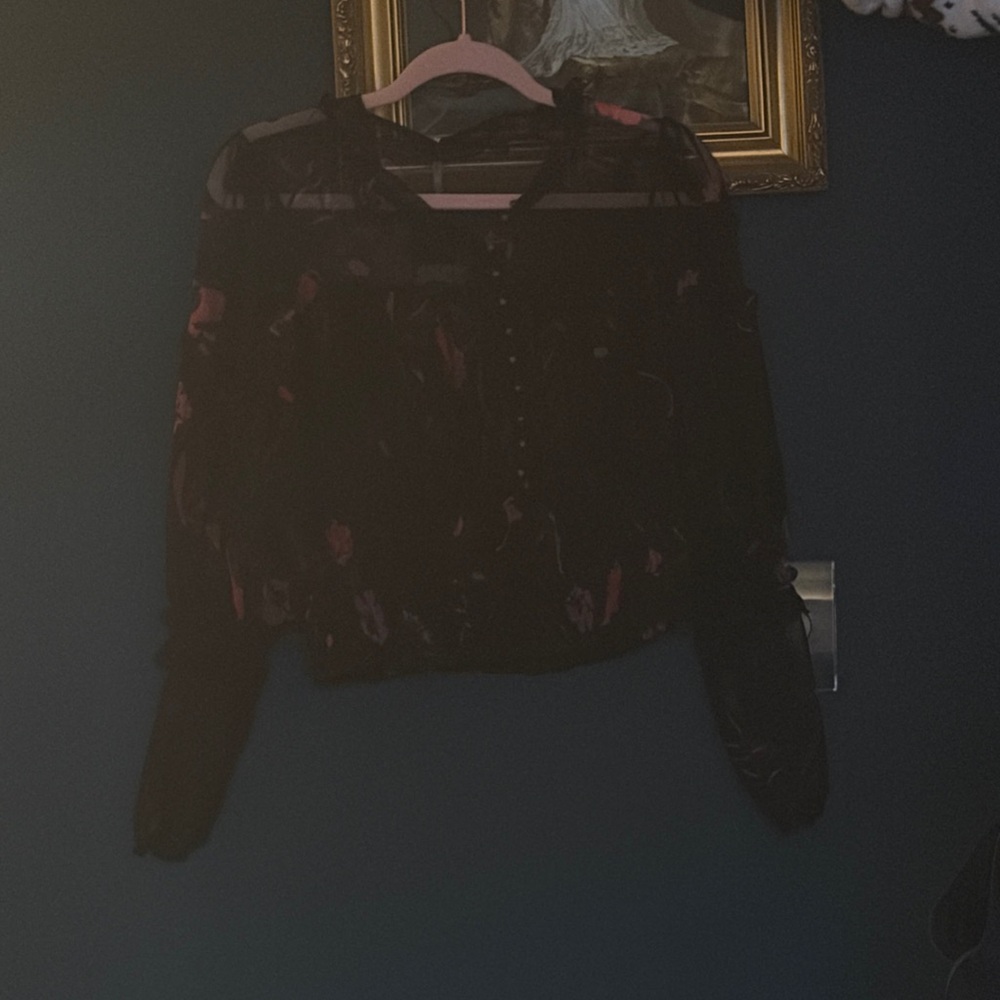Macy's Dark Romantic Sheer Blouse